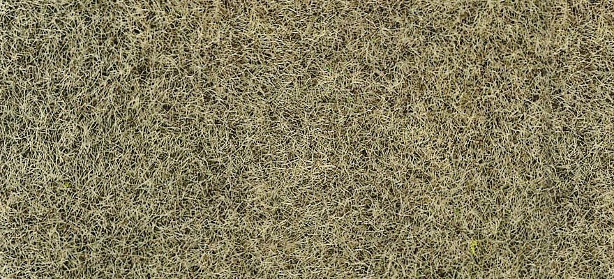 Heki 3363 - Static Grass, Winter grass