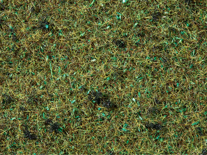 Noch 08350 - Scatter Grass "Forest Floor" 2,5 mm, 20 g