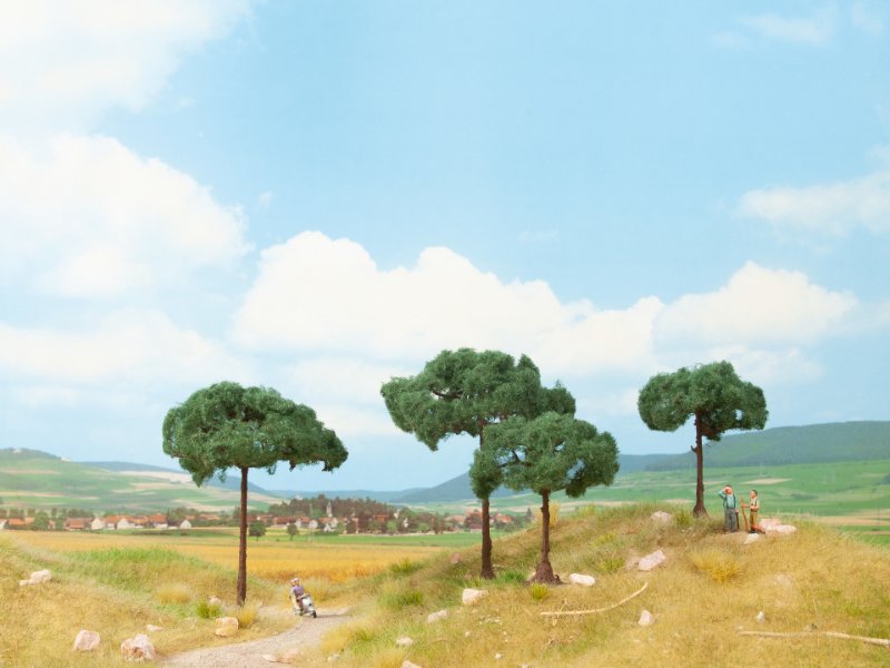 Noch 21992 - 2x Stone Pines