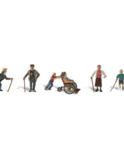 Woodland WA-1946 - Physically Challenged