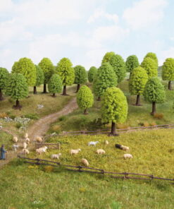 Noch 32801 - 25x Deciduous Trees